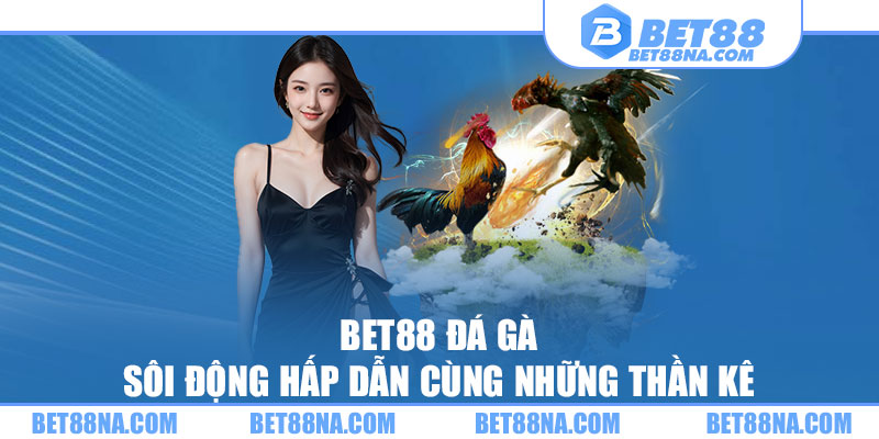 BET88 Đá Gà - Sôi Động Hấp Dẫn Cùng Những Thần Kê