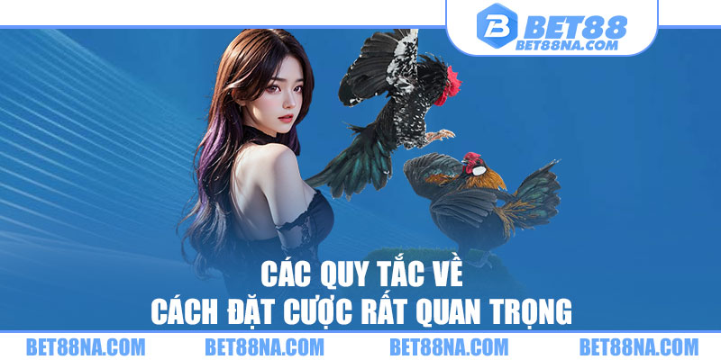 Các quy tắc về cách đặt cược rất quan trọng