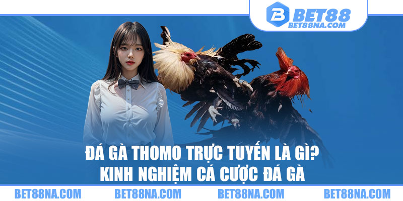 Đá gà Thomo trực tuyến tại bet88