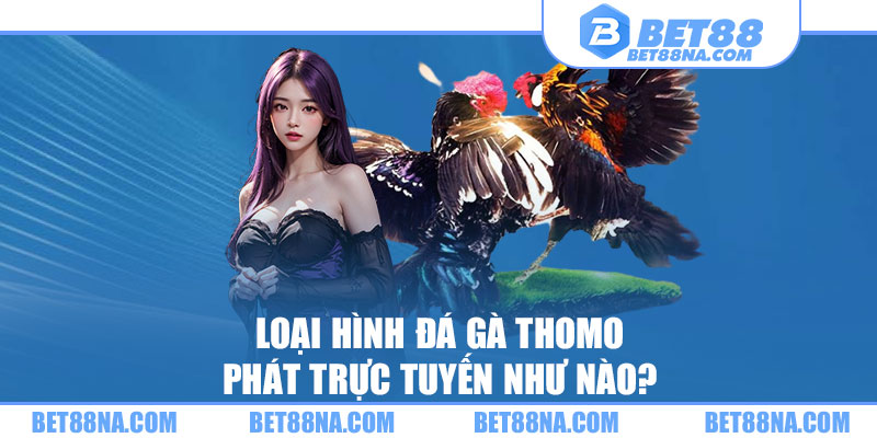 Loại hình đá gà Thomo phát trực tuyến như nào?