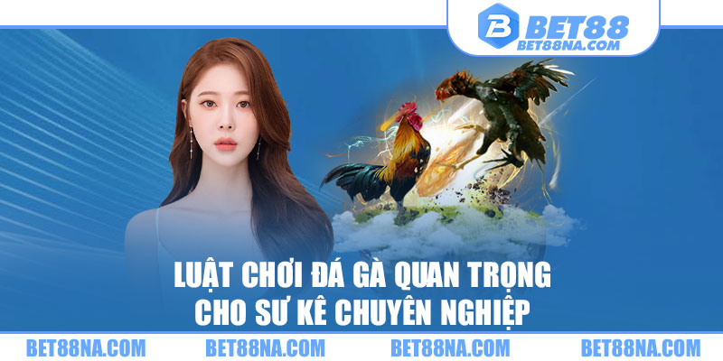 Các quy định liên quan đến luật chơi đá gà